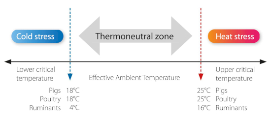 MiaHEatProtection en