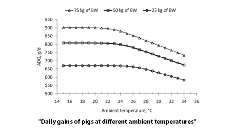 Daily gains pigs